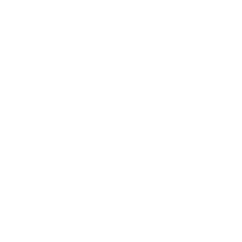 southamerica icon